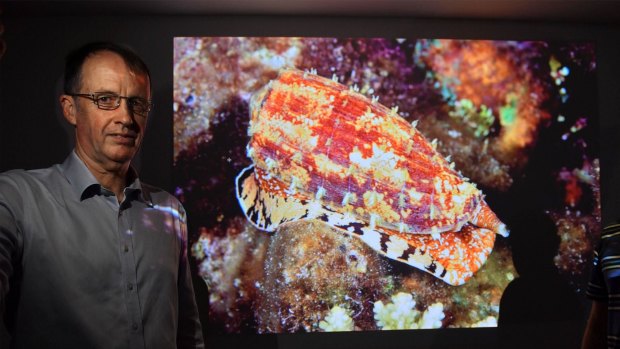 Associate professor Mike Lawrence who is reserching the marine cone snail which uses venom to stun its fish prey. 
