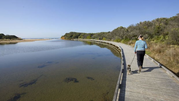 A coastal walkway in Torquay.