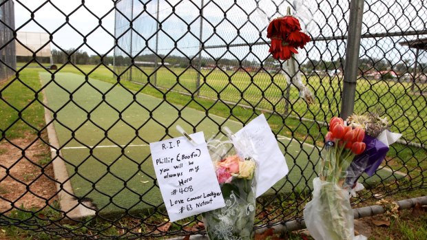 In memory: The pitch where Phillip Hughes played as a youth.