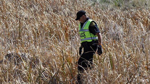Missing ... A police officer walks through a field of tall grass searching for Jessica Ridgeway.