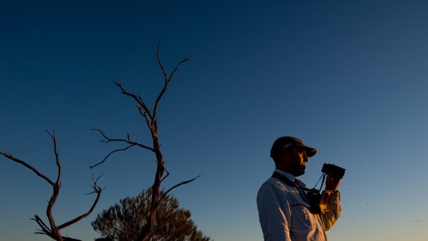 Ecologist Steve Murphy on the lookout for night parrots. Photo: Justin McManus