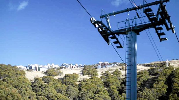 Mount Buller, like Mounts Hotham and Baw Baw, and Falls Creek, was more green than white 10 days from the start of the ski season.