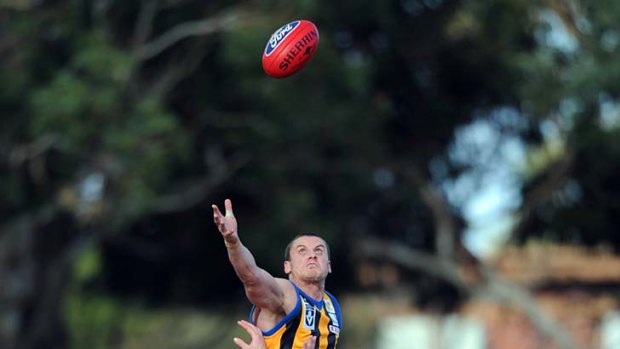 Sandy outmuscled: The Zebras' Michael Gardiner takes on the Bullants' Nick Meese, but Sandringham was never in it.