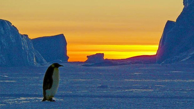 Political and scientific rivalries have raged over the frozen wilderness of Antarctica for most of its human history.