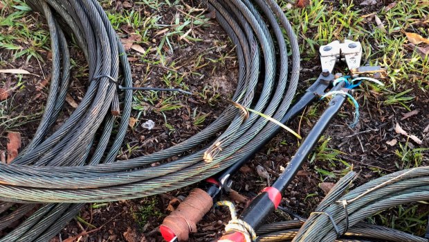 Thieves take to live power lines with bolt cutters for copper
