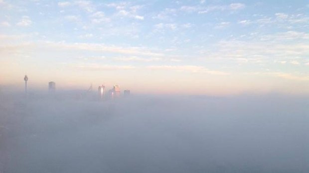 Sydney disappears: Thick blanket of fog covers the city.