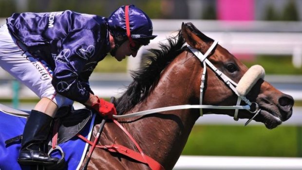  Zoustar will trial at Randwick on Monday for the T.J. Smith on April 12.