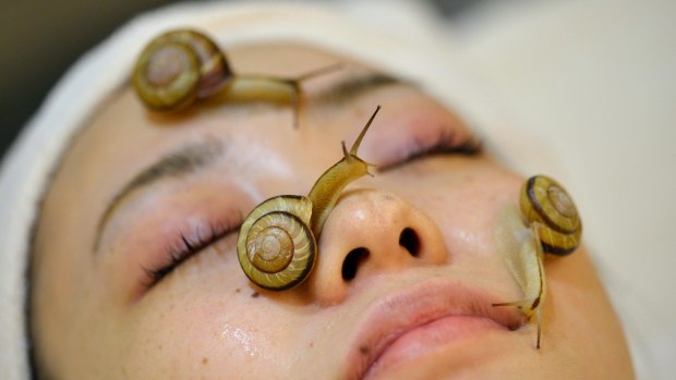 Slime time: the snail facial at Tokyo's Ci:z.Labo.