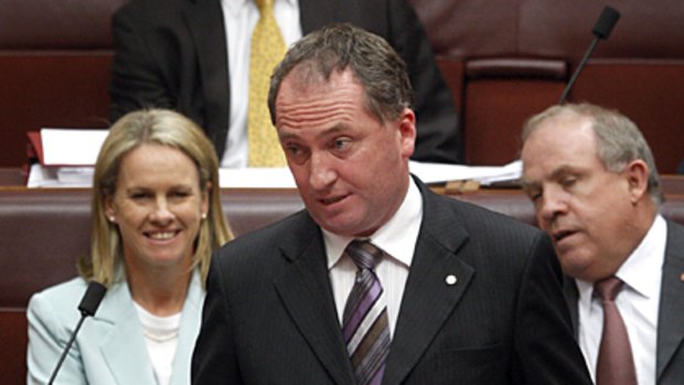 'All my views I have are still my views' ... Barnaby Joyce in the Senate.