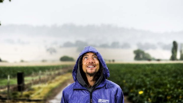 Zucchini picker, Billy Mccosker from Canberra, enjoying the rain at Karlton Park farm at Sutton on Saturday.
