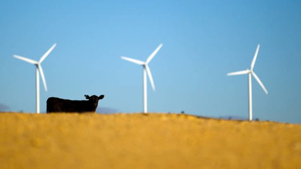 Renewable energy on the rise.
