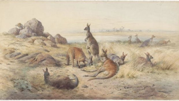 <i>The Haunt of the Kangaroo</i>, 1885 watercolour; William Strutt. Rex Nan Kivell Collection, National Library of Australia.