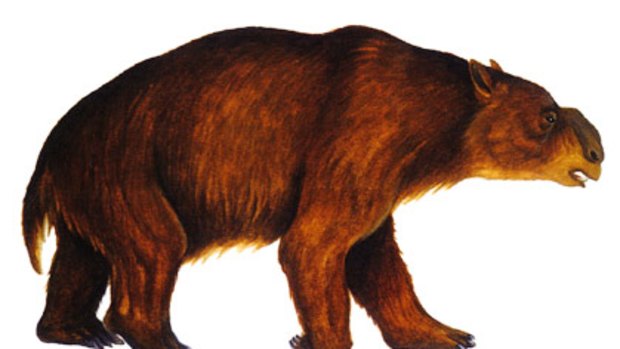 Diprotodon was the largest known marsupial that ever lived.