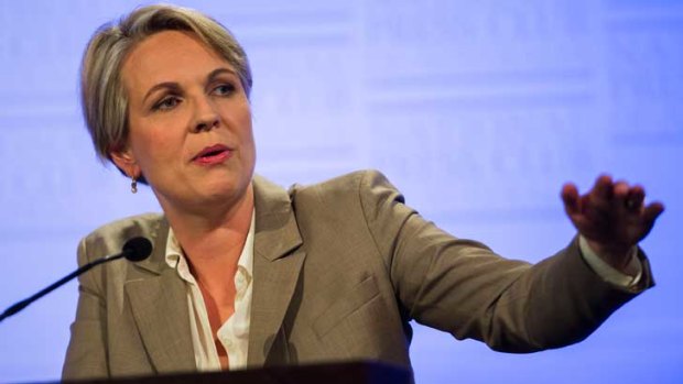Deputy federal Labor leader Tanya Plibersek has attacked Colin Barnett's record.