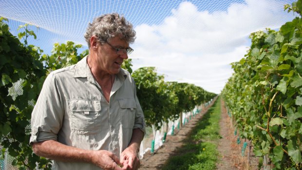 Winemaker Grant Taylor, of Valli Wines, has seen the growth of Central Otago's wine region firsthand.