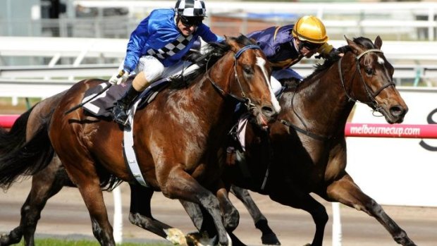 Merion, Steven Arnold up, (right) defeats Chivalry (Glen Boss up) in the Living Legends Stakes at Flemington on Saturday.