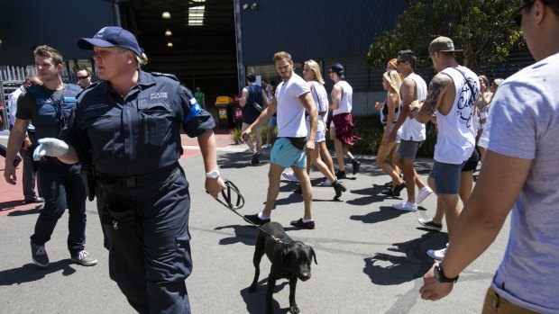 Police used sniffer dogs as partygoers arrived at the Stereosonic festival in Melbourne. 