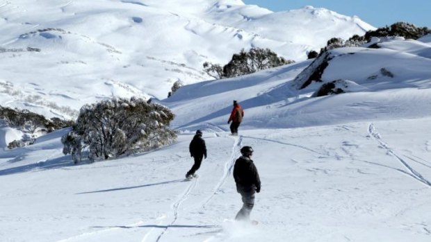 Snowboarders at Perisher during what operators describe as "one of the best seasons in a decade".