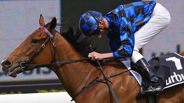 Easy does it: Buffering coasts to victory at Randwick.