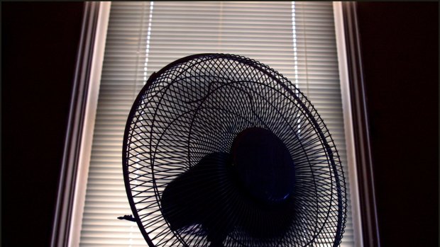 Keep your curtains and blinds closed and cool your house with a fan or an airconditioner.