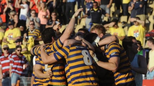 Glory days: Sydney University will be hoping for more glory in the NRC.