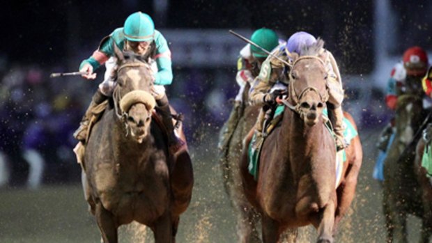 Blame (right ) with jockey Garrett Gomez aboard, edges out Zenyatta (left) to win the Breeders' Cup Classic.