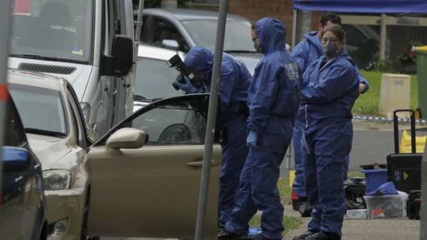 Vehicles seized: Forensic officers examine a car at the scene of the shooting. Two vehicles were later towed away.