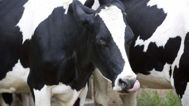 Police are investigating whether stolen cattle drench is being sold on the black market.