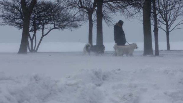 Winter storm ... a man walks his dogs along Lake Michigan in Chicago.