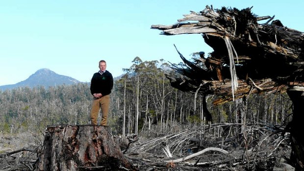 The Wilderness Society's Vica Bayley in the Esperance Valley, southern Tasmania. The state's forestry peace talks collapsed on the weekend.