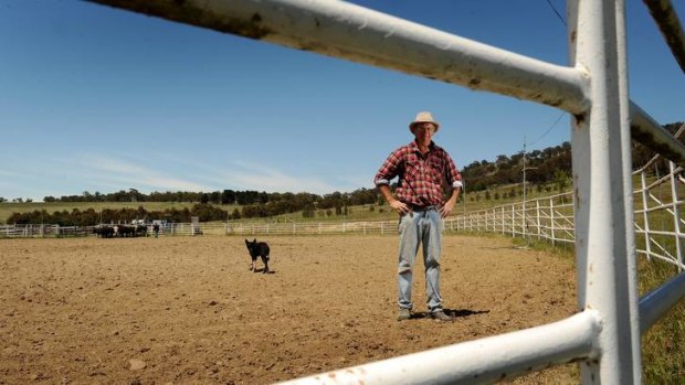 Greg Darmody, President of the Bungendore Rodeo Committee,   with his dog Joe.