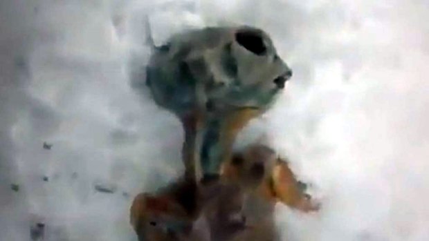 Michael Cohen previously distributed a hoax video claiming to show a dead alien in Russia.