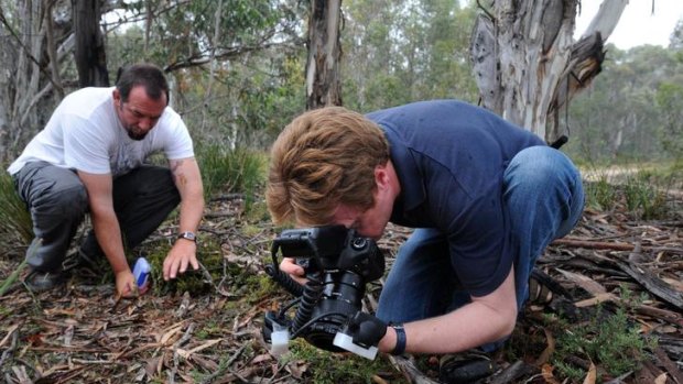 Naturalist Stuart Harris, left, and scientist Dr Jurgen Otto  have discovered and photographed a new spider species at Namadgi National Park.