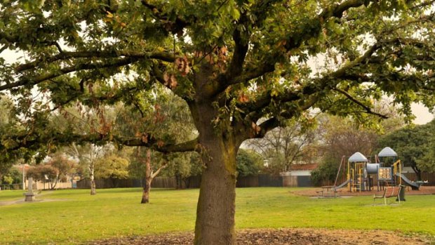 Breavington Park in Fairfield.