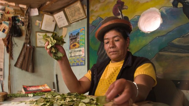 The future: Fortune teller reading coca leaves, Los Jardines, Peru. 