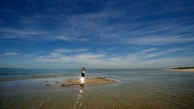 Marine ranger Stephen Tuohy looks for bird nestings.