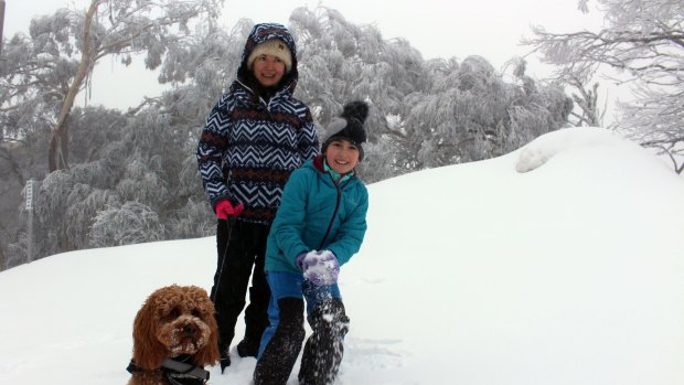 Heavy snowfall at Mount Buller in the first week of September.