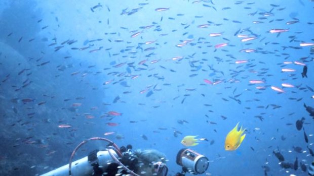 Streamlining NSW's marine park laws could help protect marine life.