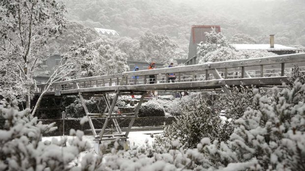 Fresh cover: The latest cold front has dumped about 55 centimetres of snow at Thredbo. Photo: Steve Cuff/Sports Photographics Australia