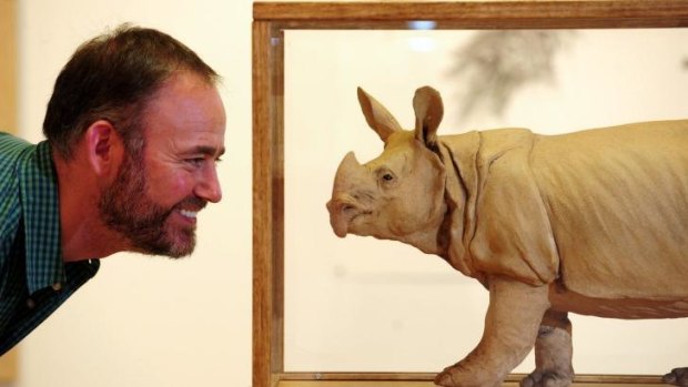 Tim Gilchrist with Chris Stubbs' Javan Rhinoceros.