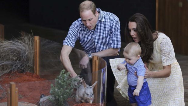 Will and Kate introduce George to a bilby.