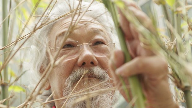 Environmentalist David Suzuki, who is in Melbourne this weekend. He says if the young and old got together, "they'd be more powerful than the biggest corporations".