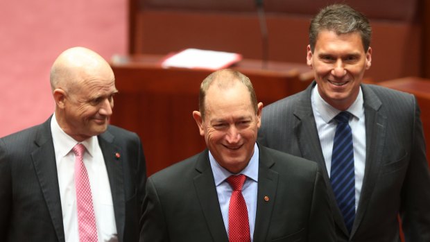 'Sick of being last': Cory Bernardi, David Leyonhjelm form alliance with One Nation defector