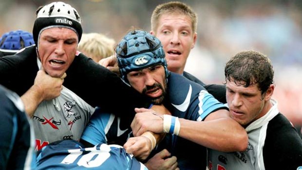 Stoppa-bull . . .  The Blues now face the daunting task of stopping the Bulls rolling maul weapon.