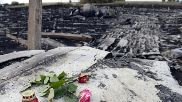 A flower and roses are placed among the debris at the site where MH17 crashed, killing all 298 people all board.