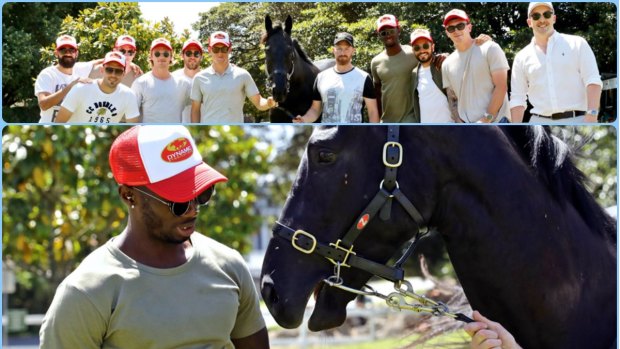 Hobby horse: Sydney FC players with their new friend.