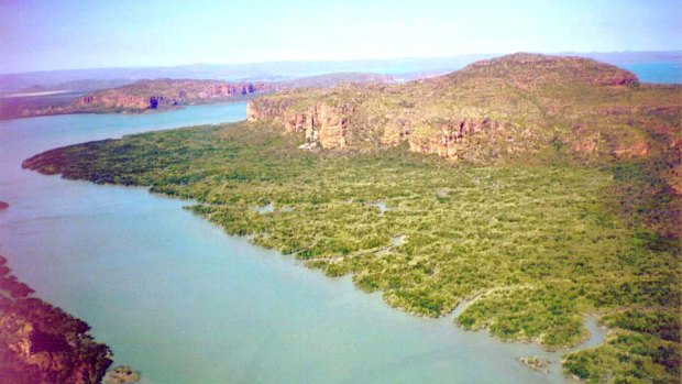 The forests and rocky crags of the Kimberley's Mitchell Plateau