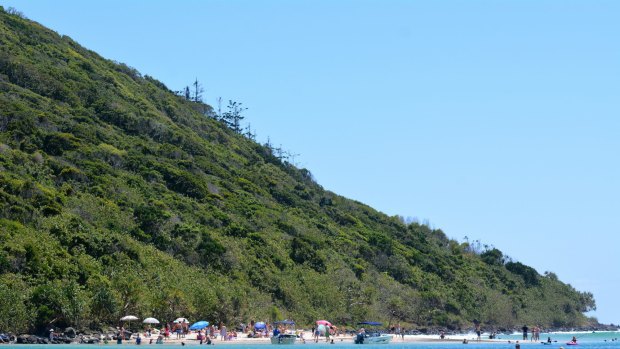 Tallebudgera Creek is a popular swimming spot for families.