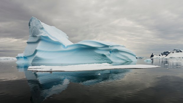 Rather than bringing icebergs to life it's more like Camille Seaman's pictures remind us or reveal that these forms are alive.