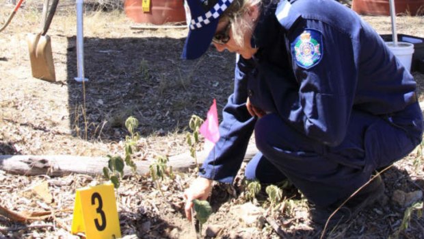 Police analyse an area of a Gin Gin property.